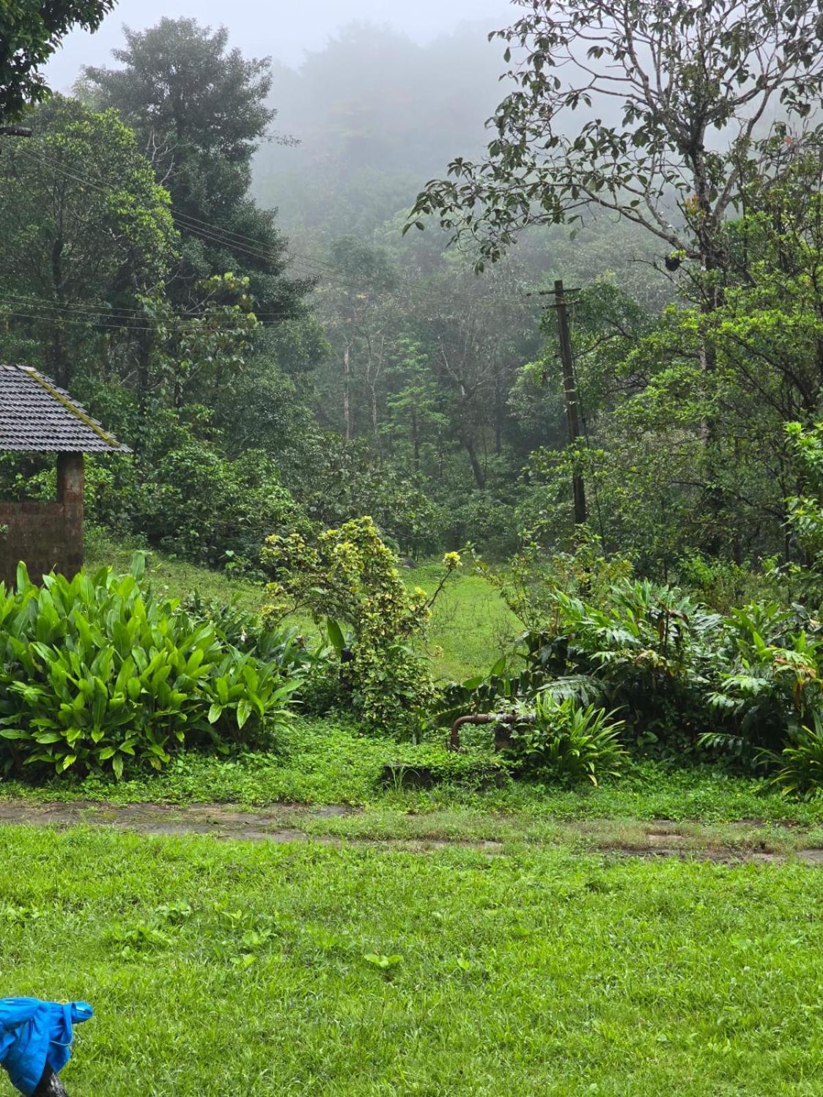 Highland Estate Hotel Sakleshpur Exterior foto